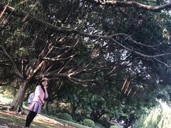 -南沙蒲洲花园