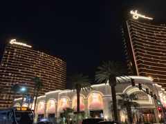 -拉斯维加斯永利酒店