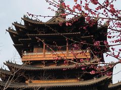 -杭州半山国家森林公园