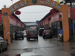 -金科花卉市场