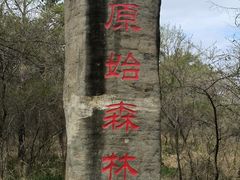 -大青沟风景区