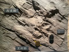 -湖南省地质博物馆