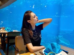 -海棠湾洲际-涛·海底餐厅·美人鱼·自助餐·海底隧道