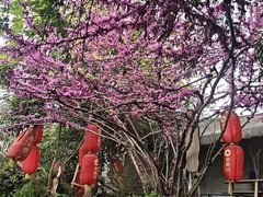 -陈有良尖椒鸡(江津总店)