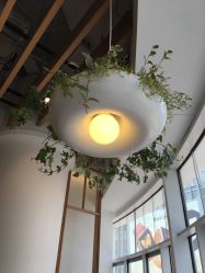 -悦诗风吟innisfree
