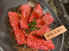 -老乾杯(深圳湾万象城店)