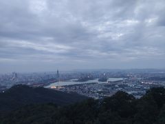 -紫金山山顶公园