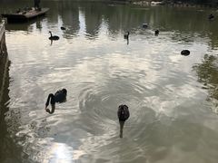 -南昌动物园