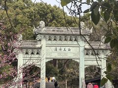 -普陀山风景名胜区-法雨禅寺