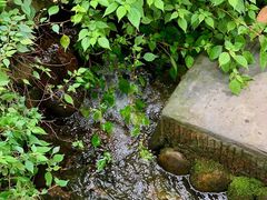 -成都市活水公园