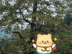 -十里琅珰