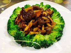 -素心斋素食餐厅