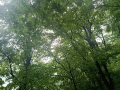 -洛阳白云山景区