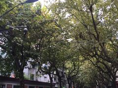 -老洋房花园饭店(绍兴路店)