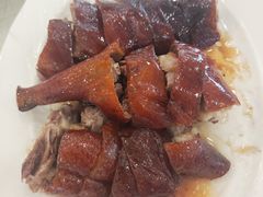 -姚林轩