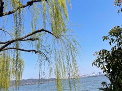 -浙江西子宾馆·瑶园咖啡厅