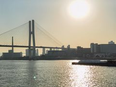 -黄浦江游览快线(金陵东路码头)