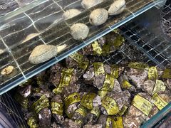 -台州老六海鲜面馆(上南总店)