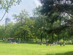 -长白岛森林公园