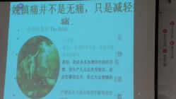 -北京妇产医院(东院)