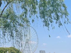 -无锡蠡湖国家湿地公园-蠡园