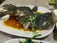 石斑鱼清蒸-四川小胡子海鲜(丁村万人海鲜广场店)