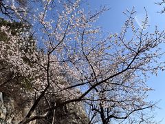 -北京鹫峰国家森林公园