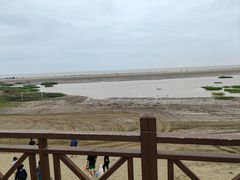 -启东黄金海滩景区