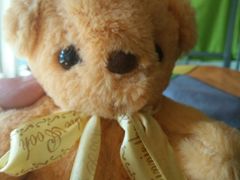 -香港皇家太平洋酒店