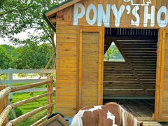 -苏州太湖西山岛开心农场