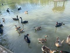 -溱湖国家湿地公园