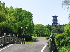 -宜兴龙背山森林公园