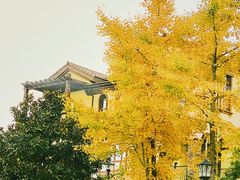 -仙海旅游度假区