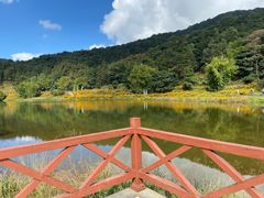 -广州市石门国家森林公园