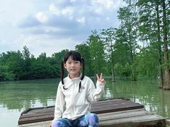 -池杉湖湿地公园