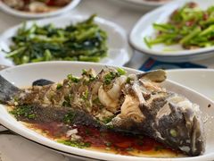 清蒸石斑-金海湾海鲜排档(朱家尖店)