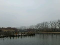 -溱湖国家湿地公园