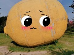 -顺峰山公园