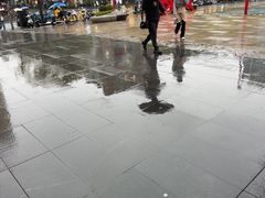 -道道鲜·崇明私房菜(五角场店)