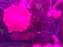 -多彩贵州城极地海洋世界