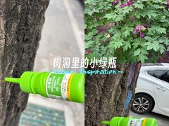 -仁和公园(顺义区)