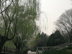 -元大都城垣遗址公园