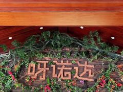 -呀诺达热带雨林