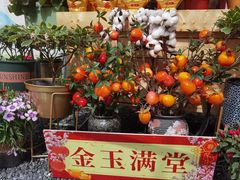-海心沙亚运公园