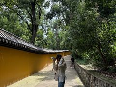 -宝通禅寺