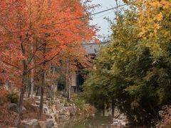 -黄陂区野村谷景区