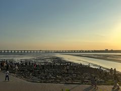 -宝安西湾红树林湿地公园