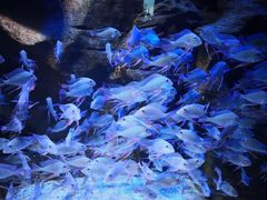 -成都浩海立方海洋公园