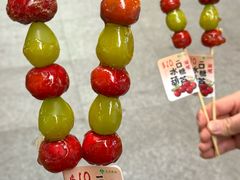 -佟爷·老北京炙子烤肉(长寿路店)