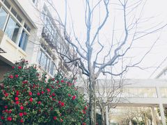 -上海第二工业大学(金海路校区)